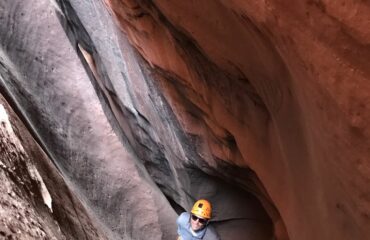 constrychnine_IMG_3337