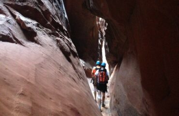 constrychnine_IMG_39721