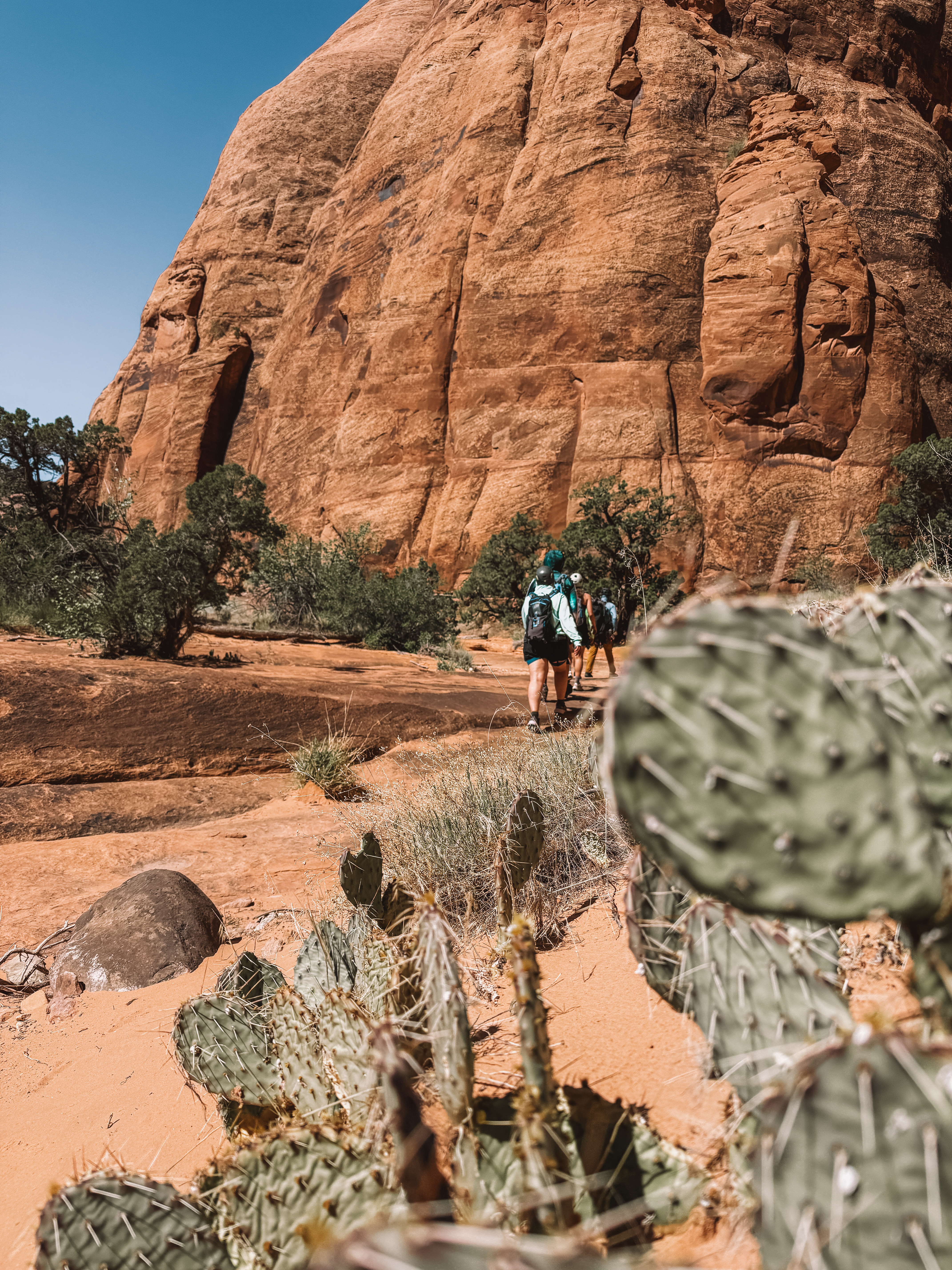 Pool Arch Canyon - Moab Canyoneering - Image 7