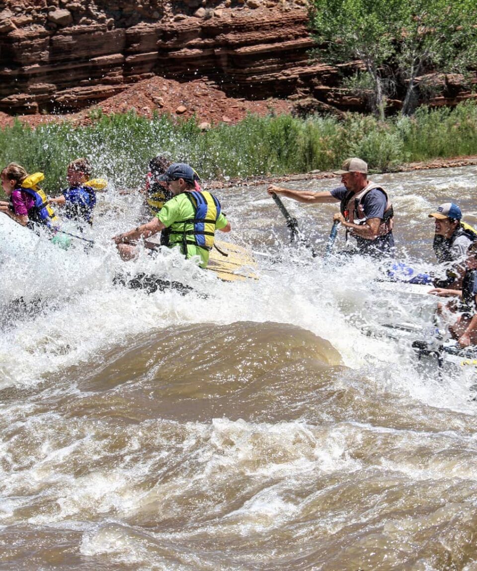 93151646_2323834121250343_7543862579408404480_o