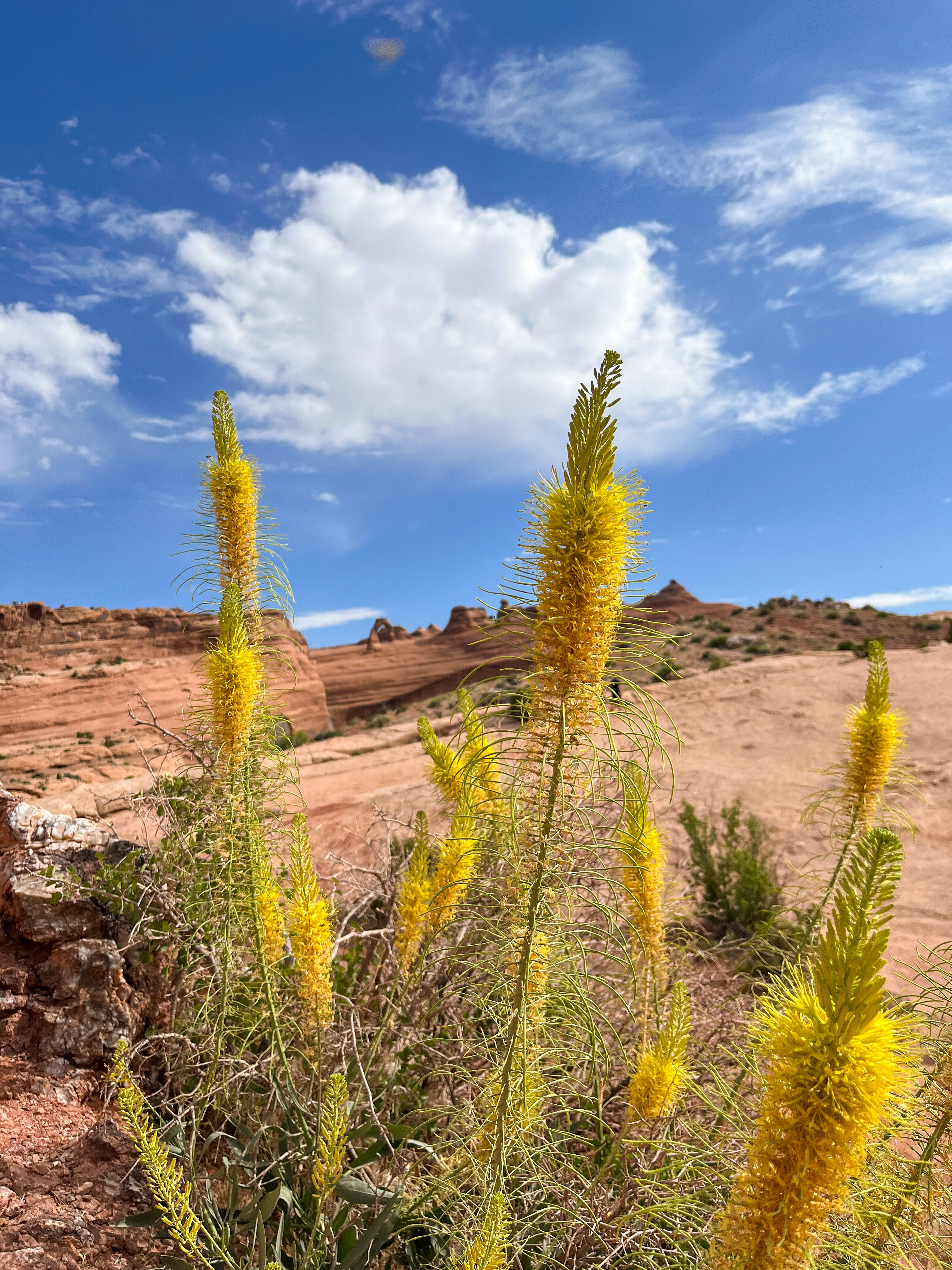 Arches National Park Private Tours - Half & Full Day - Image 11