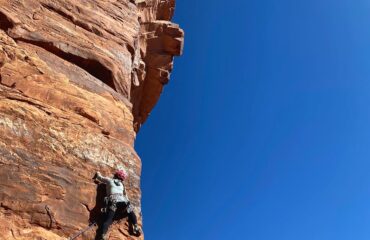 9AD2E605-1217-4A56-91B3-53552E0A5E59